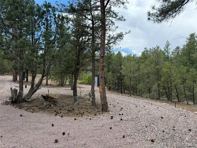 165 Mosswood Drive Cotopaxi, CO 81223