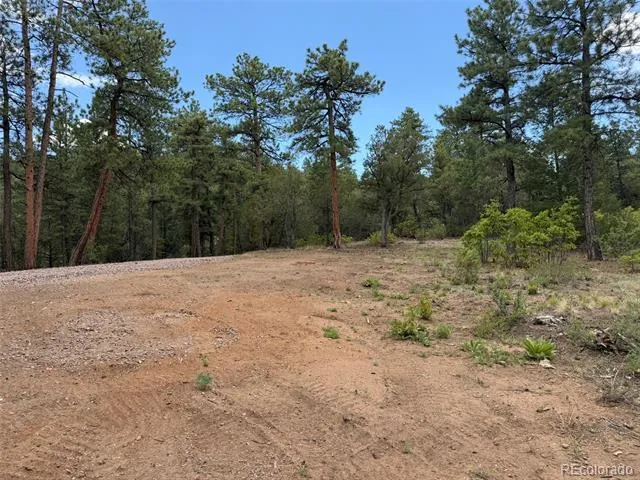 165 Mosswood Drive Cotopaxi, CO 81223