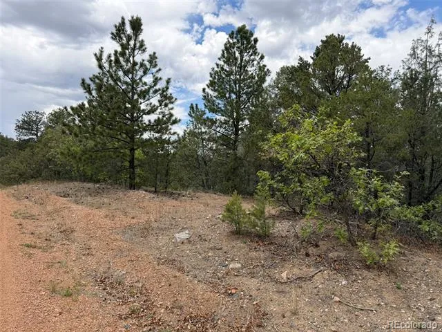 165 Mosswood Drive Cotopaxi, CO 81223
