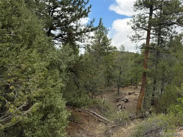 165 Mosswood Drive Cotopaxi, CO 81223