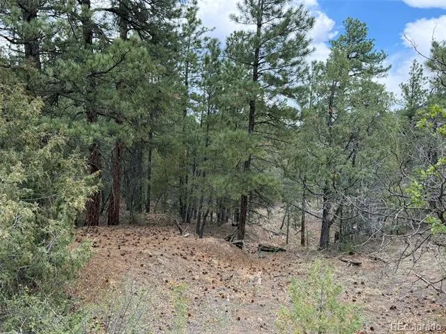 165 Mosswood Drive Cotopaxi, CO 81223