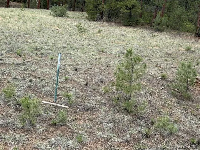 165 Mosswood Drive Cotopaxi, CO 81223