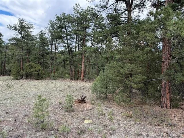 165 Mosswood Drive Cotopaxi, CO 81223