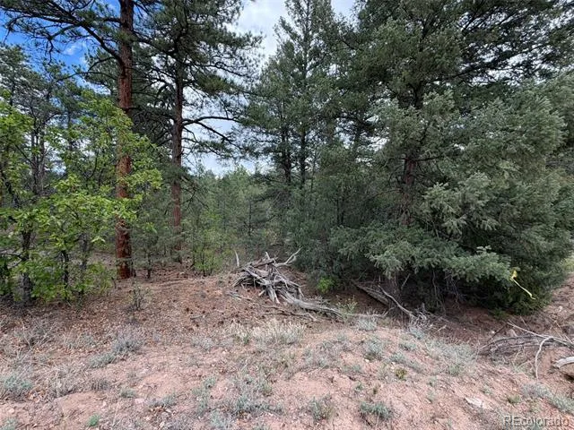 165 Mosswood Drive Cotopaxi, CO 81223