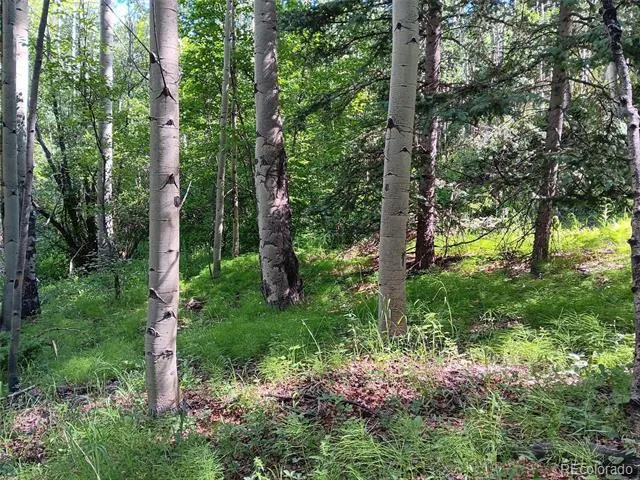 Lot 5244 Crossman Road Fort Garland, CO 81133