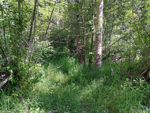 Lot 5244 Crossman Road Fort Garland, CO 81133