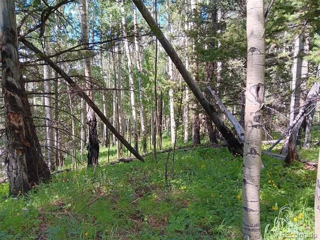 Lot 5244 Crossman Road Fort Garland, CO 81133