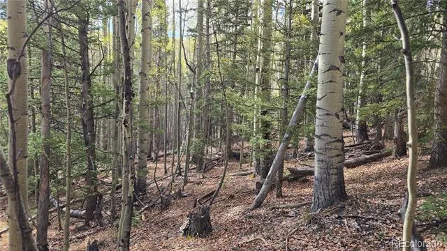 Lot 5244 Crossman Road Fort Garland, CO 81133