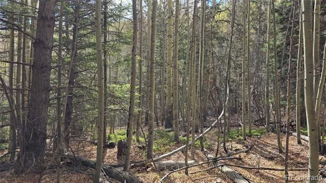 Lot 5244 Crossman Road Fort Garland, CO 81133