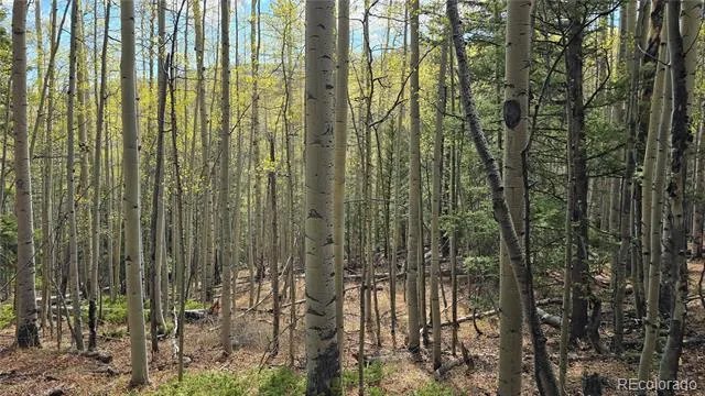 Lot 5244 Crossman Road Fort Garland, CO 81133
