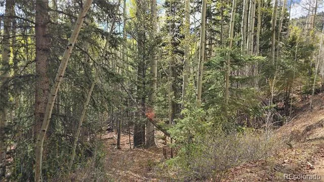 Lot 5244 Crossman Road Fort Garland, CO 81133