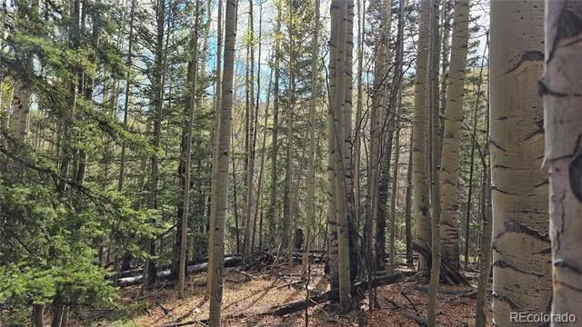 Lot 5244 Crossman Road Fort Garland, CO 81133