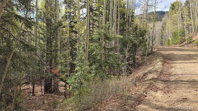Lot 5244 Crossman Road Fort Garland, CO 81133