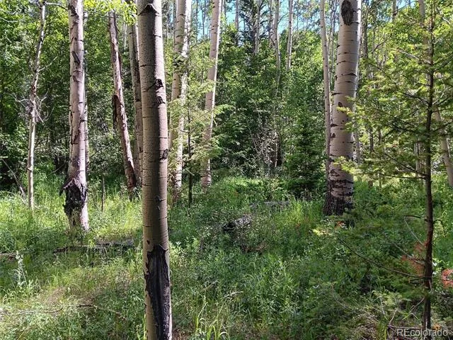 Lot 5244 Crossman Road Fort Garland, CO 81133