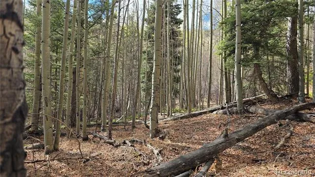 Lot 5244 Crossman Road Fort Garland, CO 81133