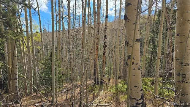 Lot 5244 Crossman Road Fort Garland, CO 81133
