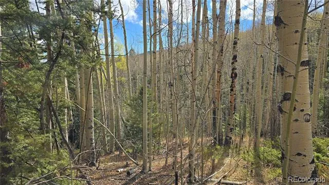 Lot 5244 Crossman Road Fort Garland, CO 81133