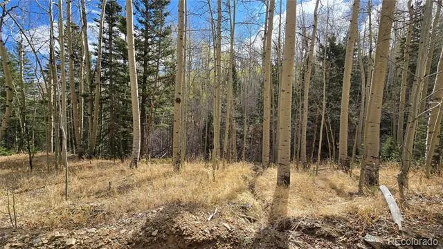 Lot 5244 Crossman Road Fort Garland, CO 81133