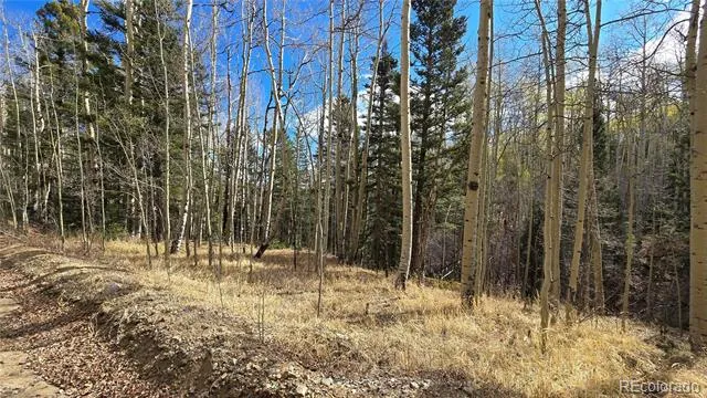 Lot 5244 Crossman Road Fort Garland, CO 81133