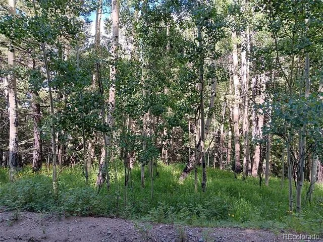 Lot 5244 Crossman Road Fort Garland, CO 81133