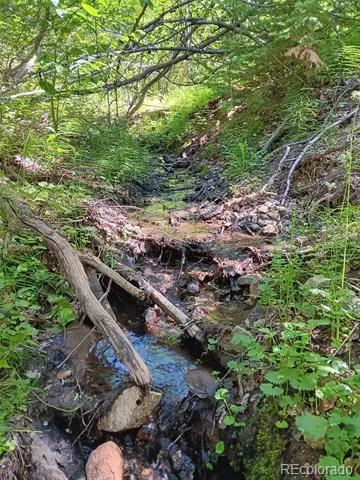 Lot 5244 Crossman Road Fort Garland, CO 81133