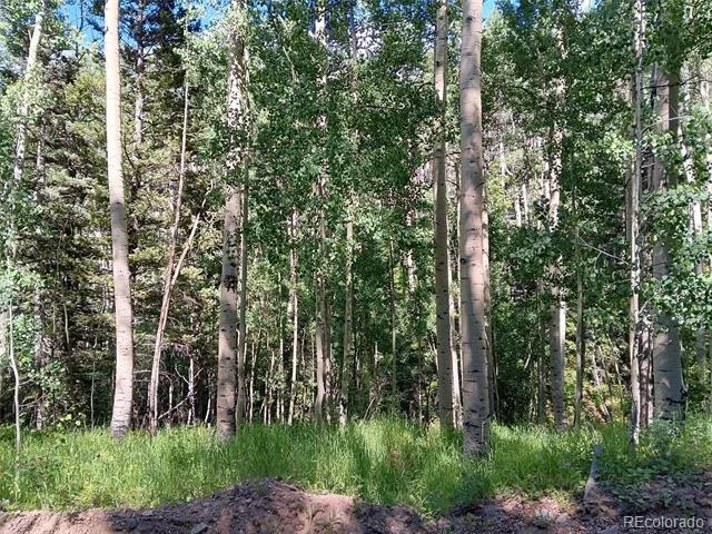 Lot 5244 Crossman Road Fort Garland, CO 81133