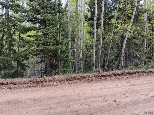 Lot 5244 Crossman Road Fort Garland, CO 81133