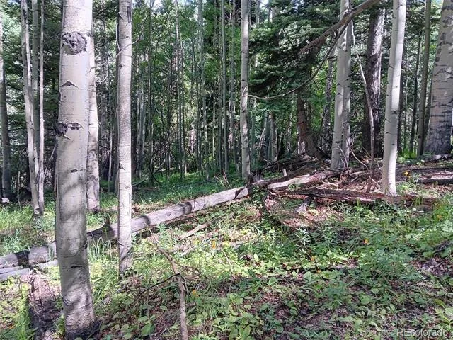 Lot 5244 Crossman Road Fort Garland, CO 81133