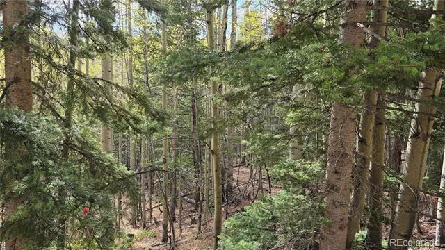 Lot 5244 Crossman Road Fort Garland, CO 81133