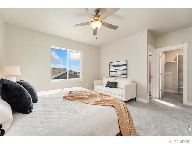 6226 Vernazza Way #2 Windsor, CO 80550