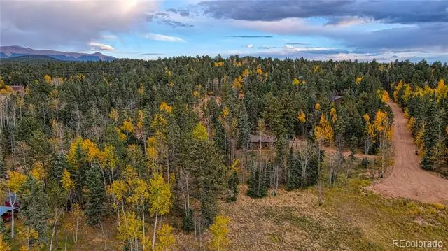 Address Not Shown Florissant, CO 80816