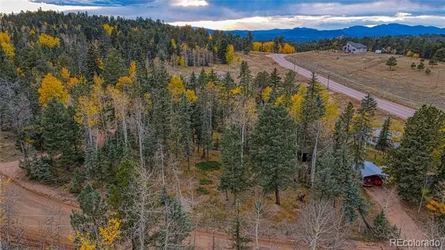 Address Not Shown Florissant, CO 80816
