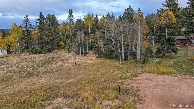 Address Not Shown Florissant, CO 80816