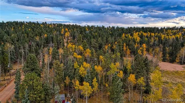 Address Not Shown Florissant, CO 80816