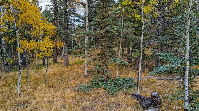 Address Not Shown Florissant, CO 80816