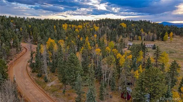 Address Not Shown Florissant, CO 80816