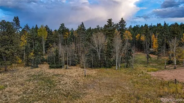 Address Not Shown Florissant, CO 80816