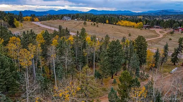 Address Not Shown Florissant, CO 80816