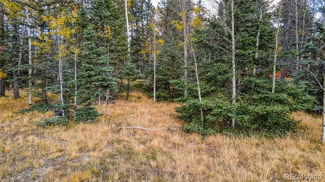 Address Not Shown Florissant, CO 80816