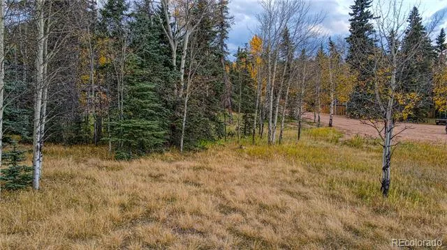 Address Not Shown Florissant, CO 80816