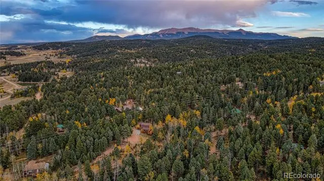 Address Not Shown Florissant, CO 80816