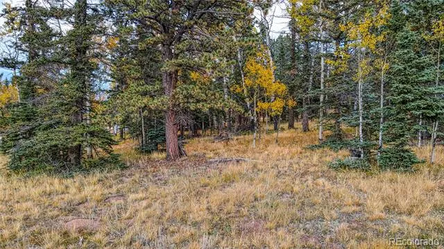 Address Not Shown Florissant, CO 80816