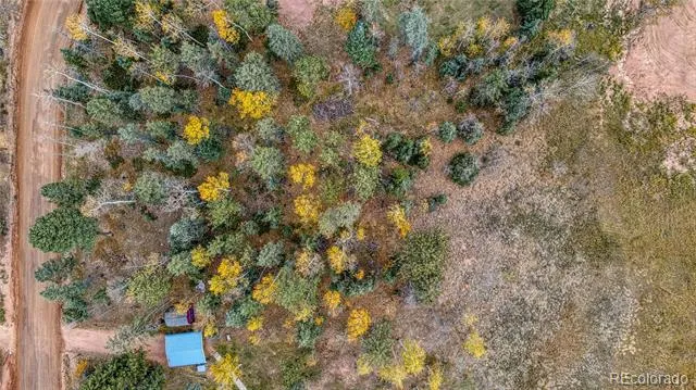 Address Not Shown Florissant, CO 80816