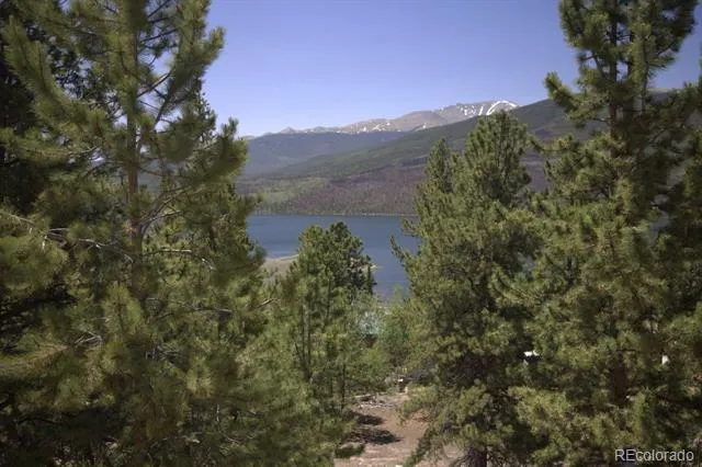 426 Parry Peak Drive Twin Lakes, CO 81251