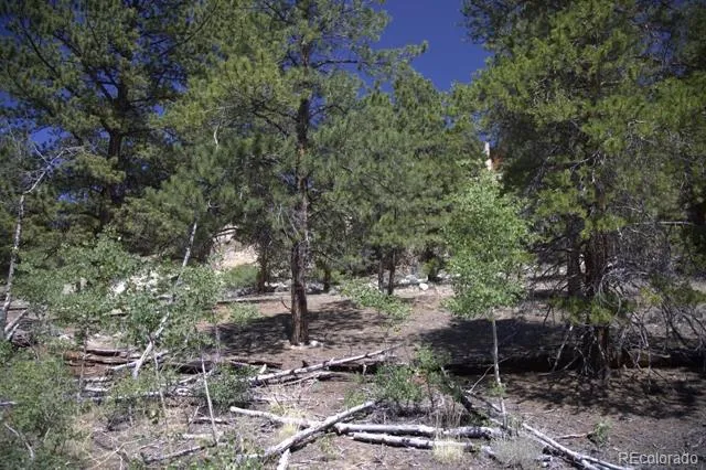 426 Parry Peak Drive Twin Lakes, CO 81251