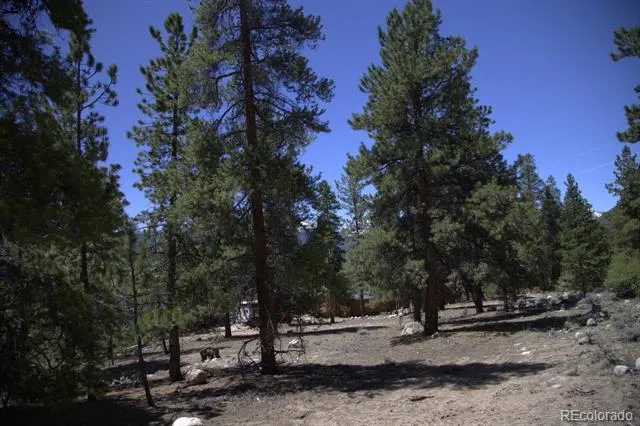 426 Parry Peak Drive Twin Lakes, CO 81251