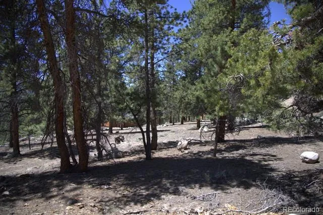 426 Parry Peak Drive Twin Lakes, CO 81251