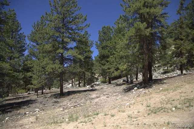 426 Parry Peak Drive Twin Lakes, CO 81251