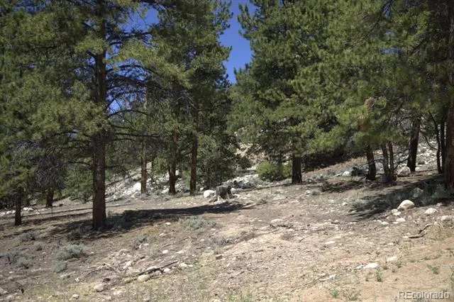 426 Parry Peak Drive Twin Lakes, CO 81251