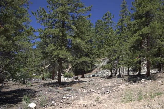 426 Parry Peak Drive Twin Lakes, CO 81251